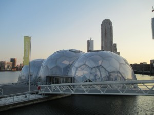 Floating Pavilion - Rotterdam (A Rotterdam Climate Proof pilot project)